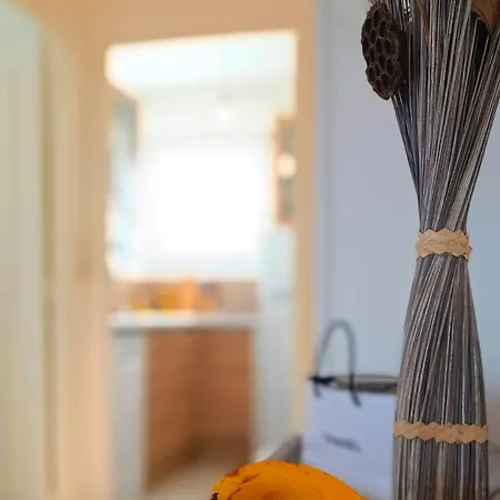 Appartement A 8 Min A Pieds De La Plage, Du Centre Et Du Brittany Ferries